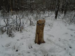 Соль-лизунец